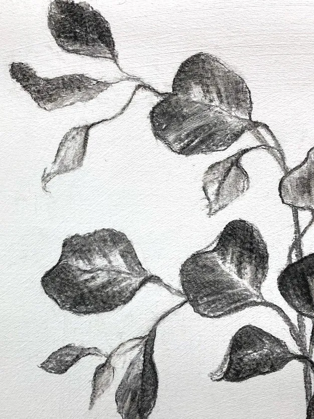 Branch Drawing Wall Art | Botanical Charcoal Drawing | Charcoal Drawing On Paper | Gallery Wall Art | Eucalyptus Drawing | Spa Wall Decor