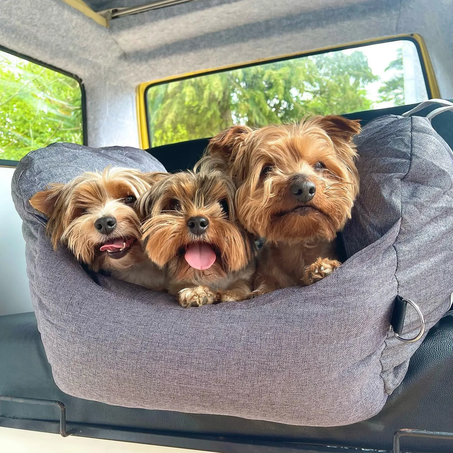 Pat and Pet Emporium | Pet Carriers | Soft Plush Pet Travel Beds